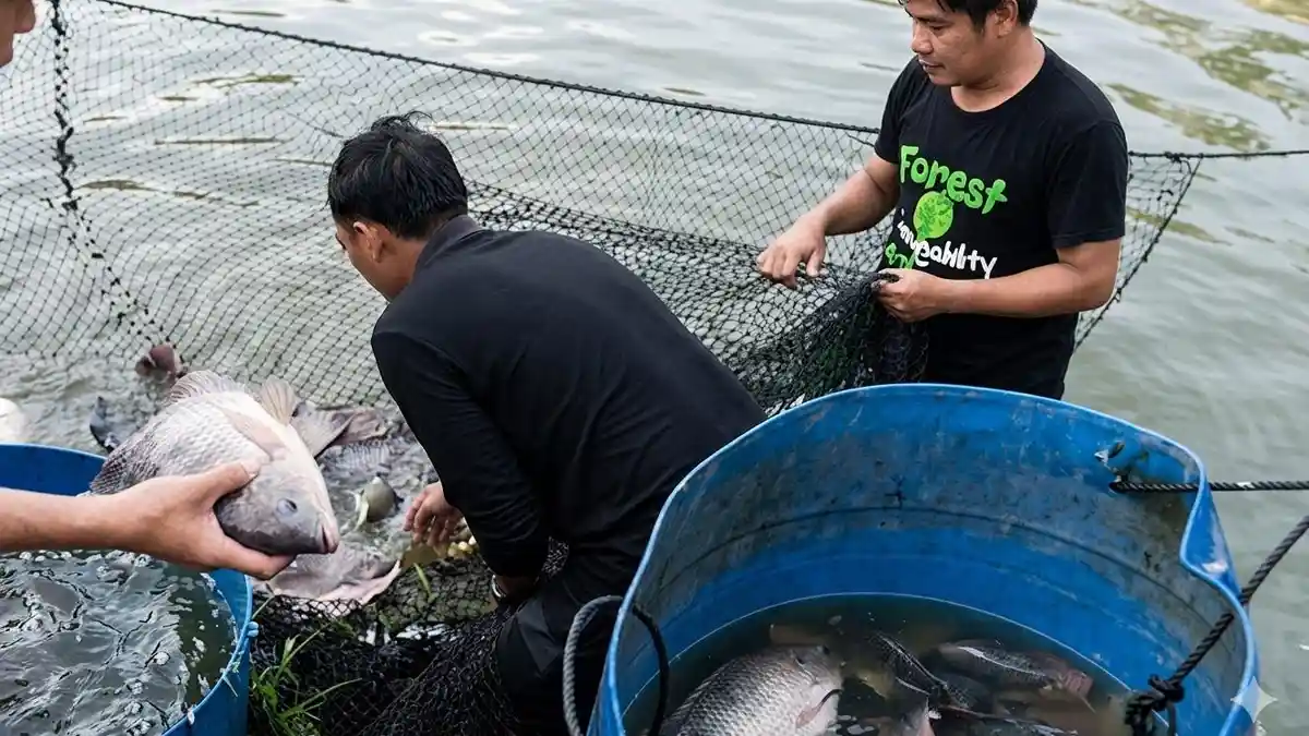 Cahaya Cilacap: Menyinari Bisnis